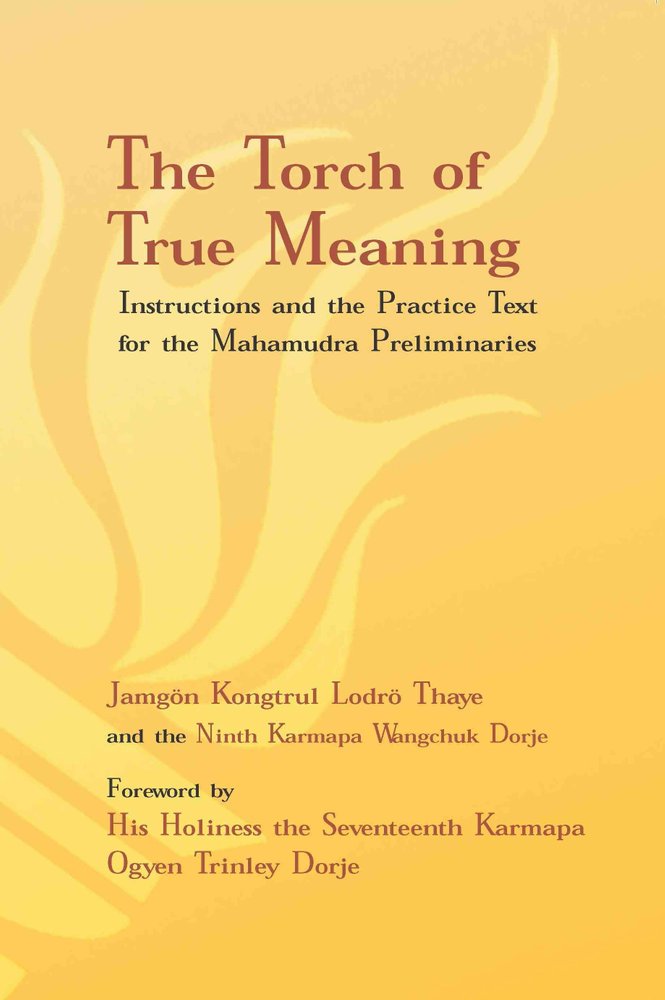 Buy Torch of True Meaning by Jamgon Kongtrul Lodro Thaye With Free