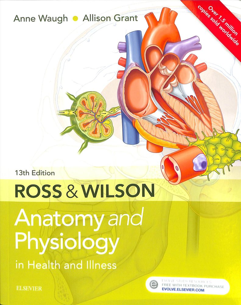 Buy Ross & Wilson Anatomy And Physiology In Health And Illness By Anne ...