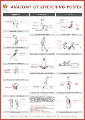 FREE WR Stretching Routine