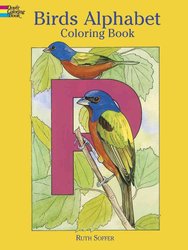 Download Buy Wild Animals Colouring Book By John Green With Free Delivery Wordery Com