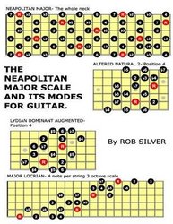 Pentatonic and Blues Scales for Left Handed Guitar: Silver, Rob:  9781545339367: Books 