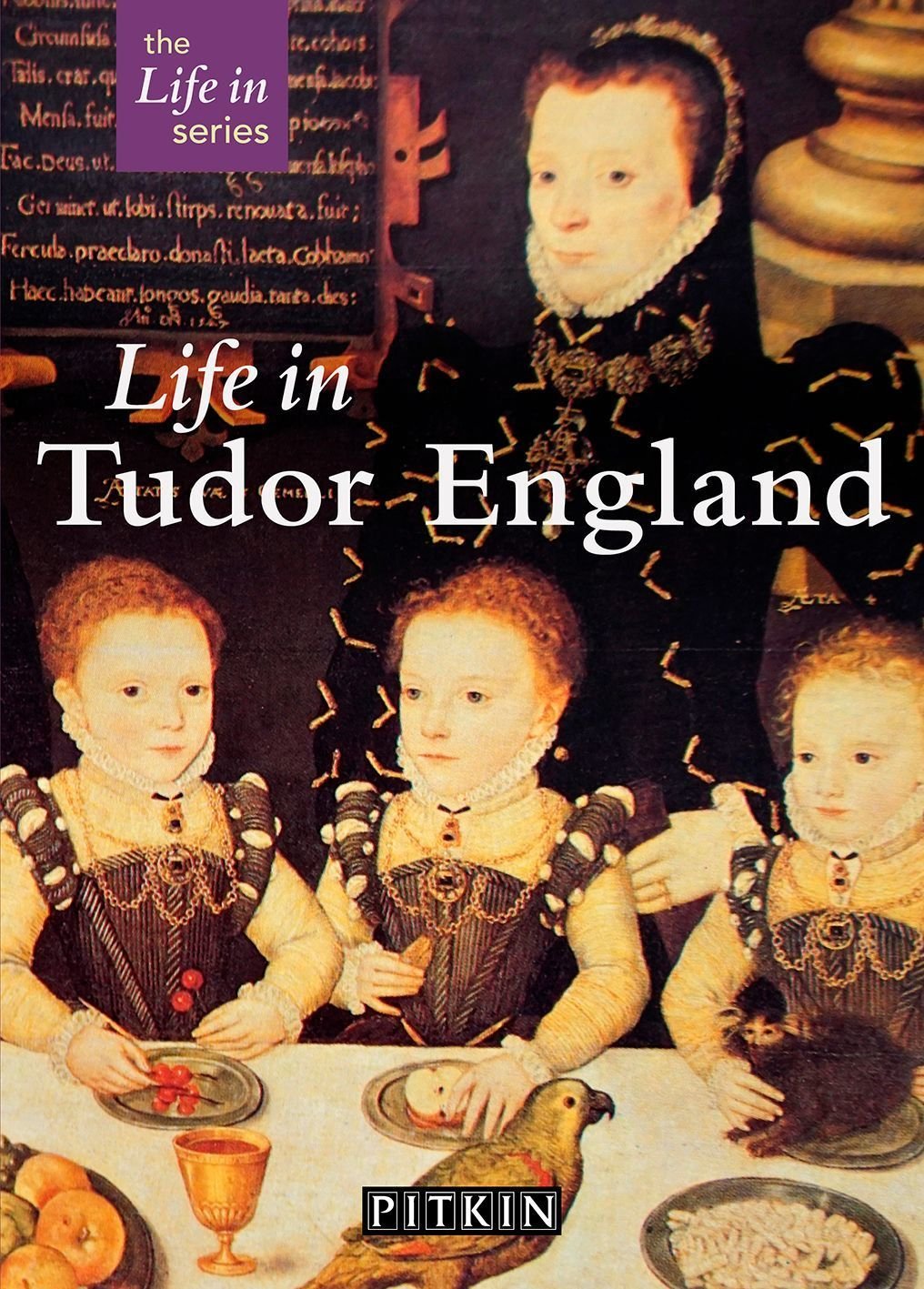 Buy Life in Tudor England by Peter Brimacombe With Free Delivery