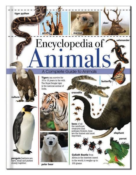 Buy Encyclopedia of Animals With Free Delivery | wordery.com