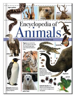 Buy Encyclopedia of Animals With Free Delivery 