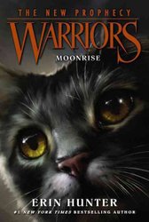 SkyClan's Destiny (Warriors Super Edition Series #3) by Erin Hunter, Wayne  McLoughlin, Paperback