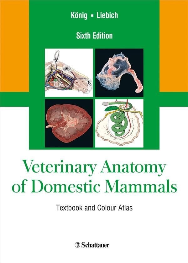 Buy Veterinary Anatomy Of Domestic Mammals By Horst Erich Koenig With ...