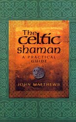 Celtic Shaman by John Matthews