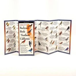 Buy Sibley S Backyard Birds Of Northern California By David Allen