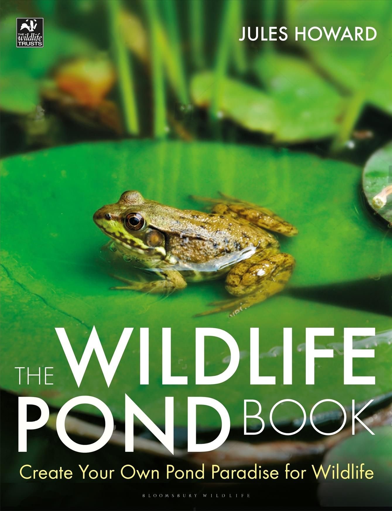 Buy The Wildlife Pond Book By Jules Howard With Free - 