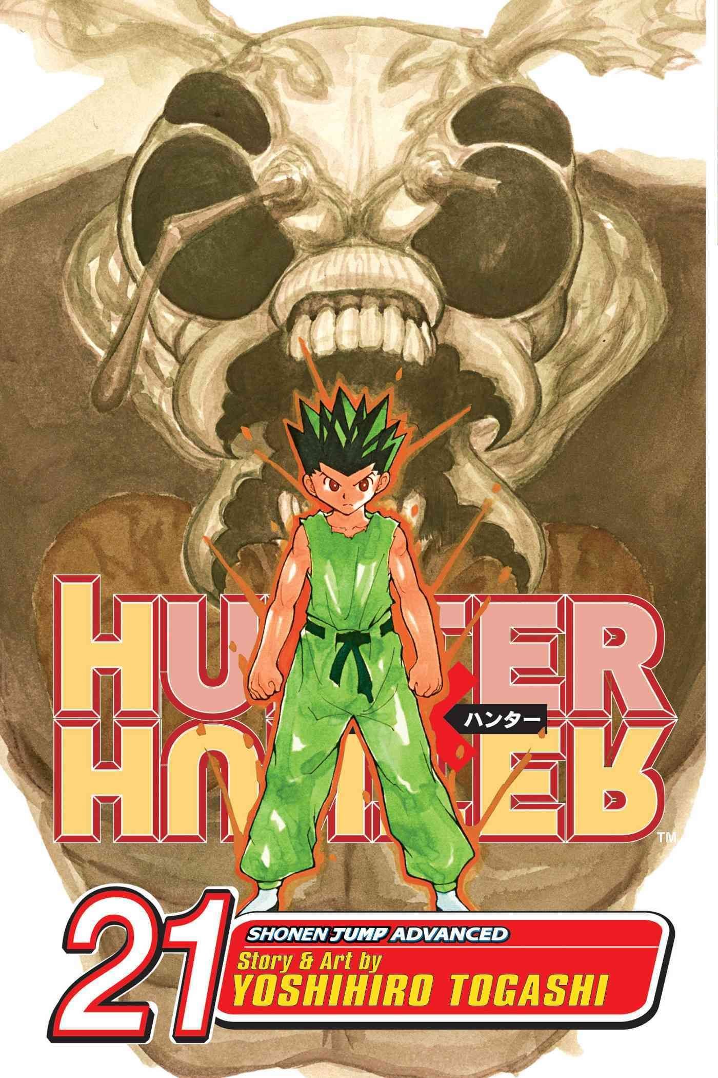 Hunter x Hunter, Vol. 33 (33): Togashi, Yoshihiro: 9781421592640:  : Books