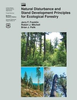 Buy Natural Disturbance And Stand Development Principles For Ecological ...