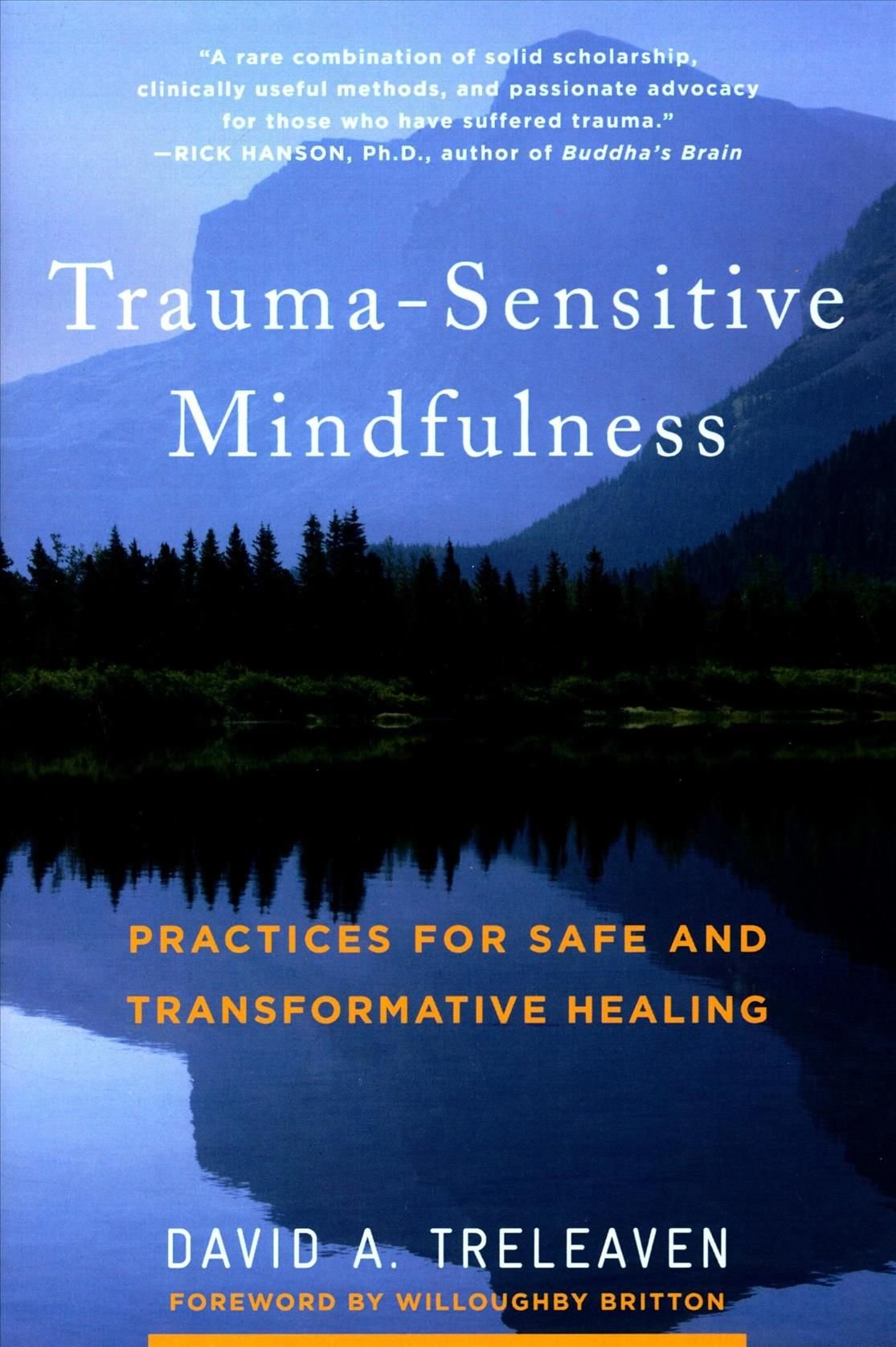 trauma sensitive mindfulness by david treleaven