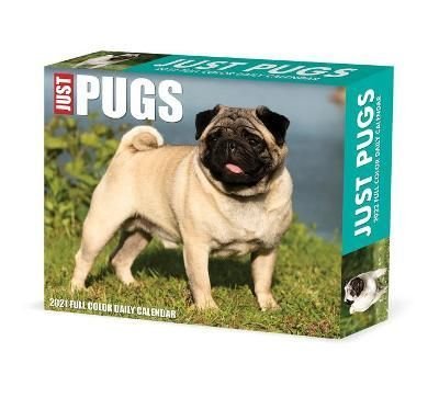 Buy Pugs 2022 Box Calendar By Willow Creek Press With Free Delivery Wordery Com