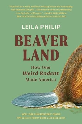Beaverland by Leila Philip