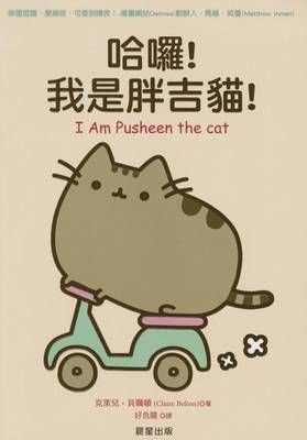 Claire's cheap pusheen cat