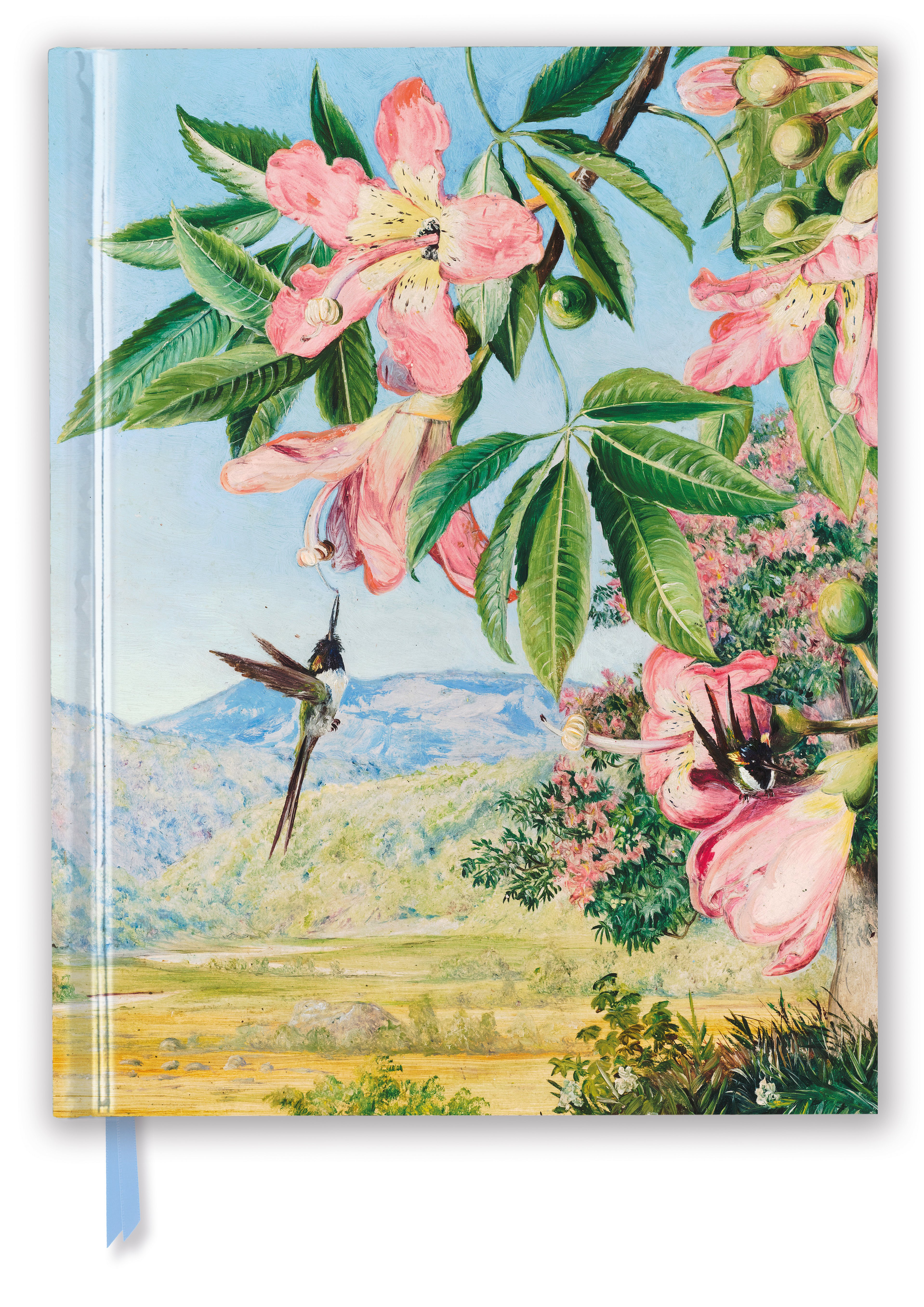 https://wordery.com/jackets/a94bf609/kew-gardens-foliage-and-flowers-by-marianne-north-blank-sketch-book-flame-tree-studio-9781787558434.jpg