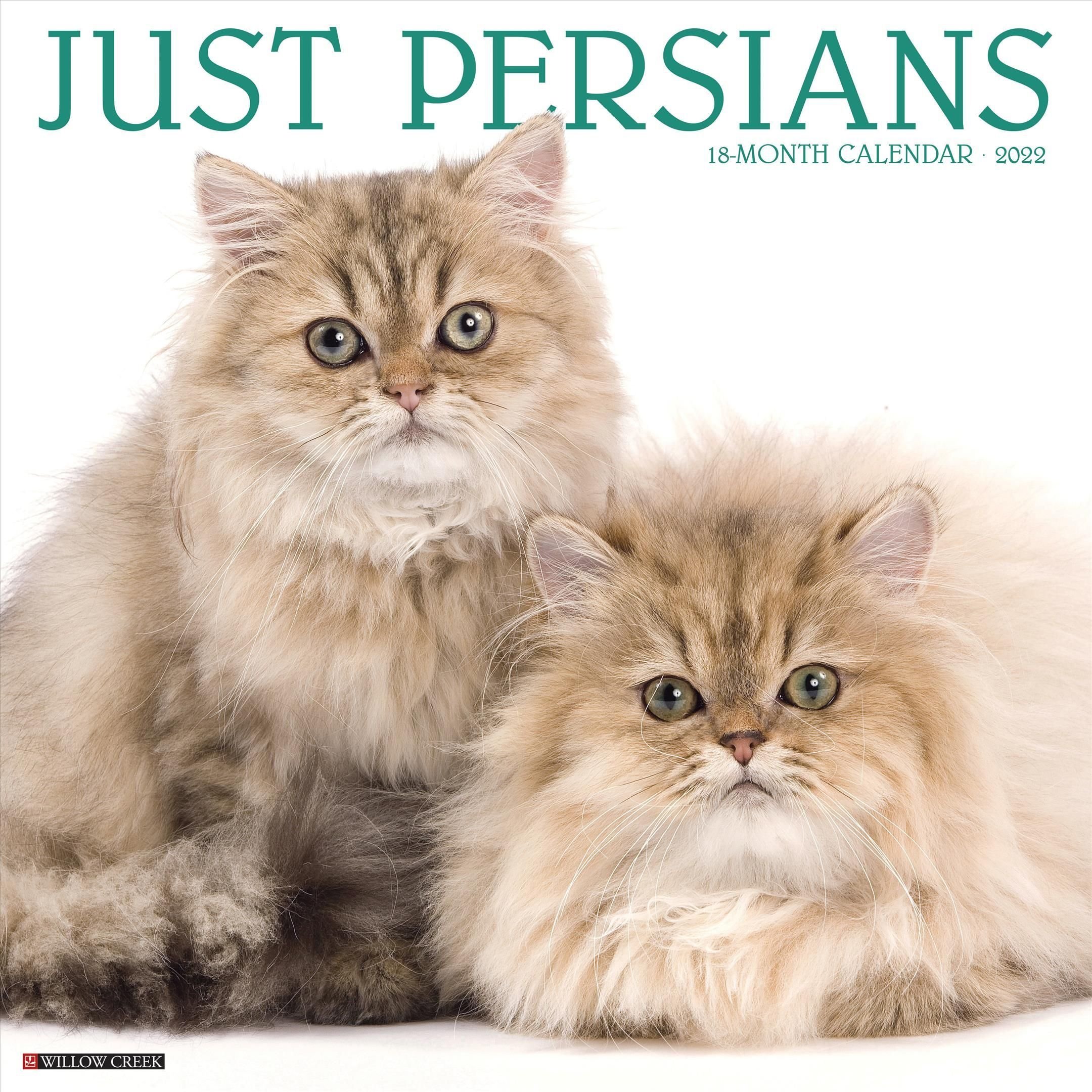 Just Persians 2022 Wall Calendar (Cat Breed)