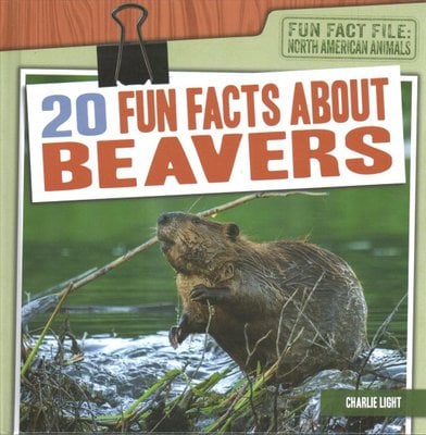 Buy 20 Fun Facts about Beavers by Light With Free Delivery | wordery.com