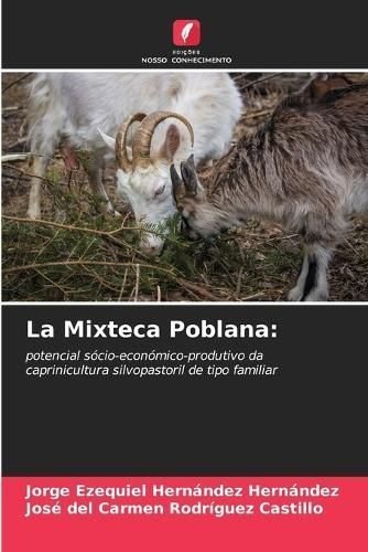 Buy La Mixteca Poblana By Hern Ndez Hern Ndez With Free Delivery ...