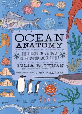 Ocean Anatomy by John Niekrasz and Julia Rothman