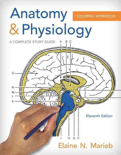 Buy Anatomy & Physiology Coloring Workbook by Elaine N. Marieb With