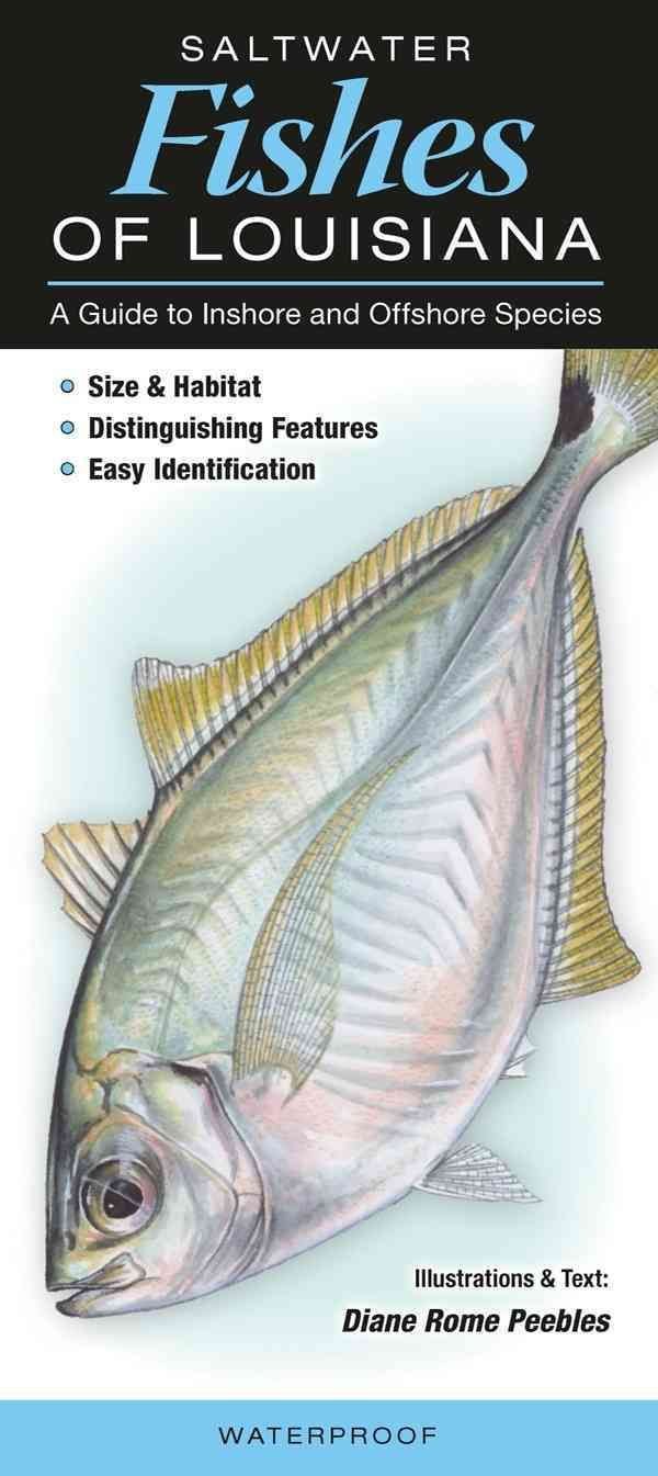 saltwater fish guide 