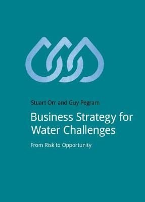 Business Strategy for Water Challenges