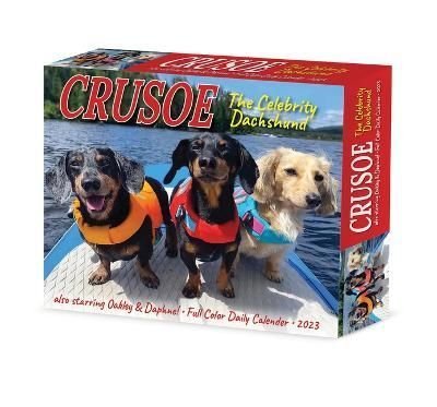 Celebrity dachshund hot sale