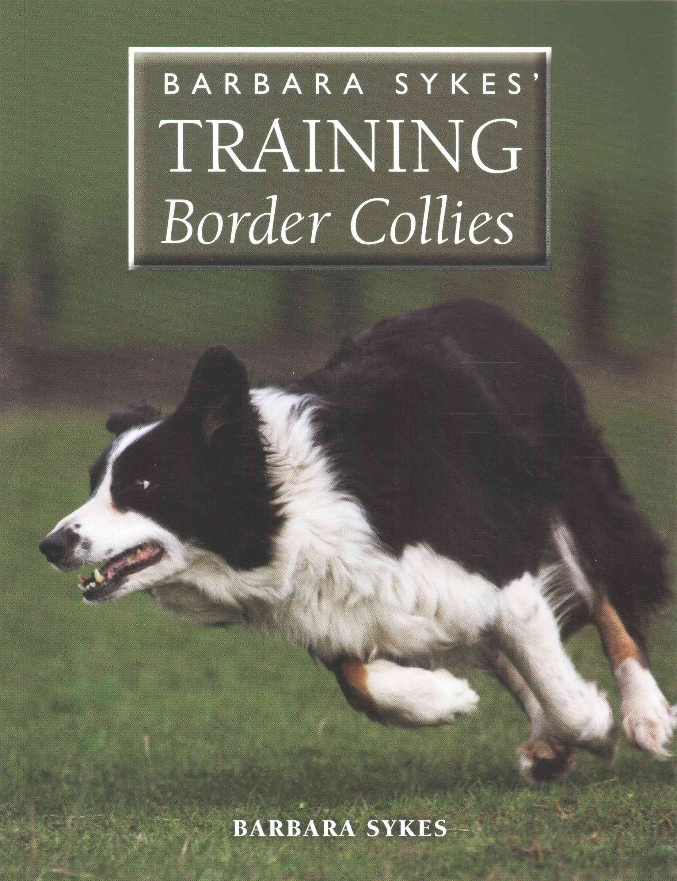 Trailblazing hot sale border collies