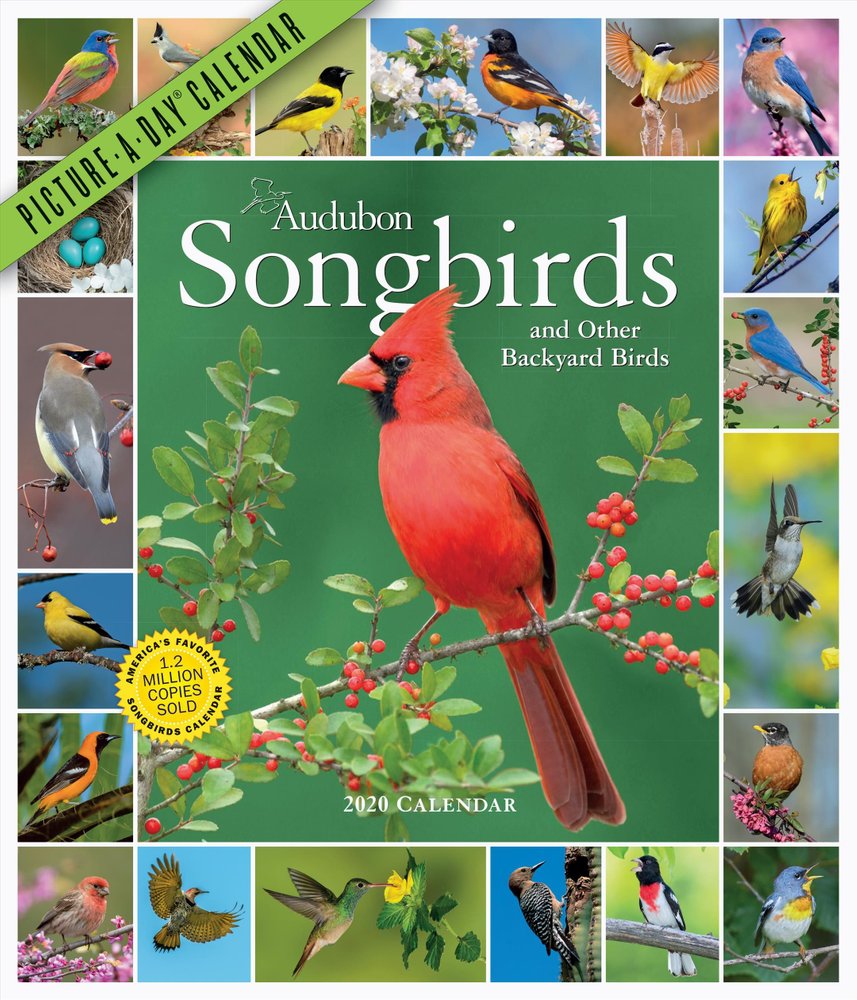 Buy 2020 Audubon Songbirds and Other Backyard Birds PictureADay