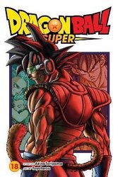 Dragon Ball Super, Vol. 11 (Paperback)