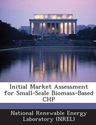 Initial Market Assessment for Small-Scale Biomass-Based Chp