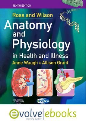 Featured image of post Ross And Wilson Anatomy And Physiology In Health And Illness 13Th Edition 6th edition ross wilson anatomy and physiology in health and illness