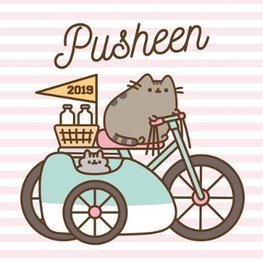 Pusheen Desk Easel Official 2019 Calendar Slim Desk Easel Format 