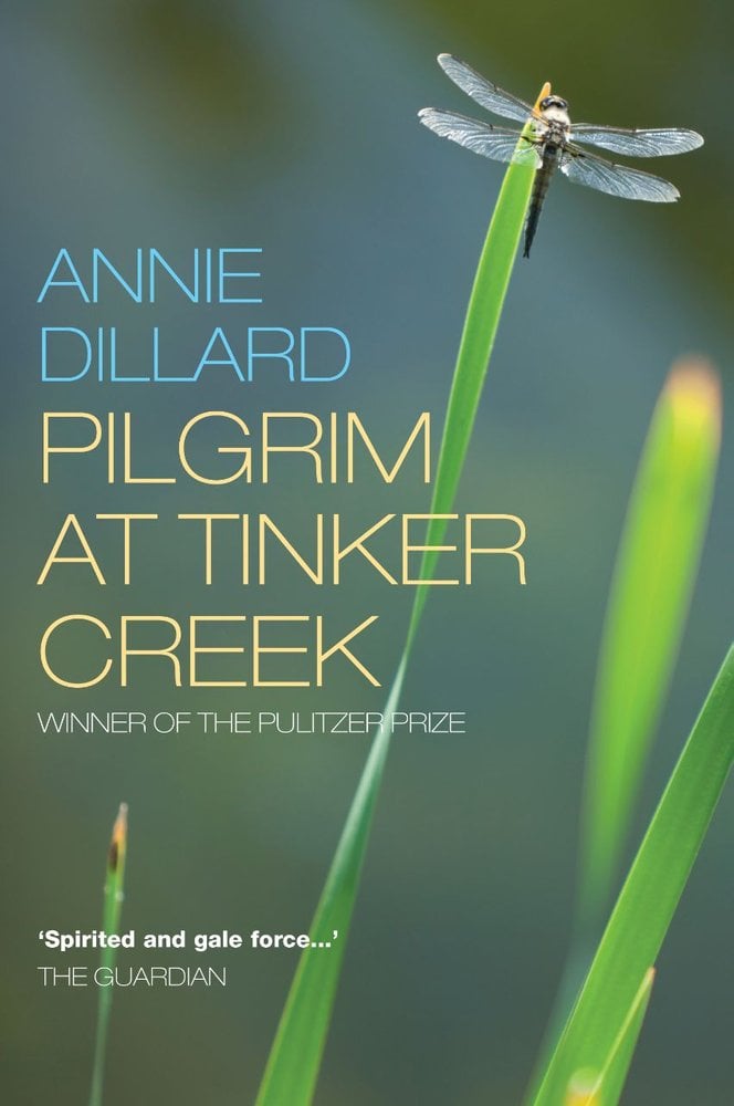Annie Dillard Reflection