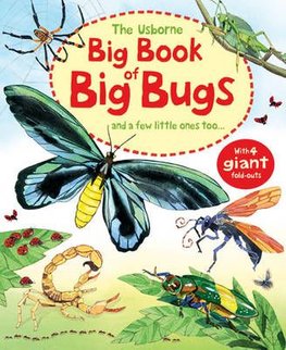 Buy Big Book Of Big Sea Creatures By Minna Lacey With Free Delivery Wordery Com