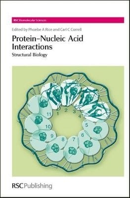 download foldamers structure