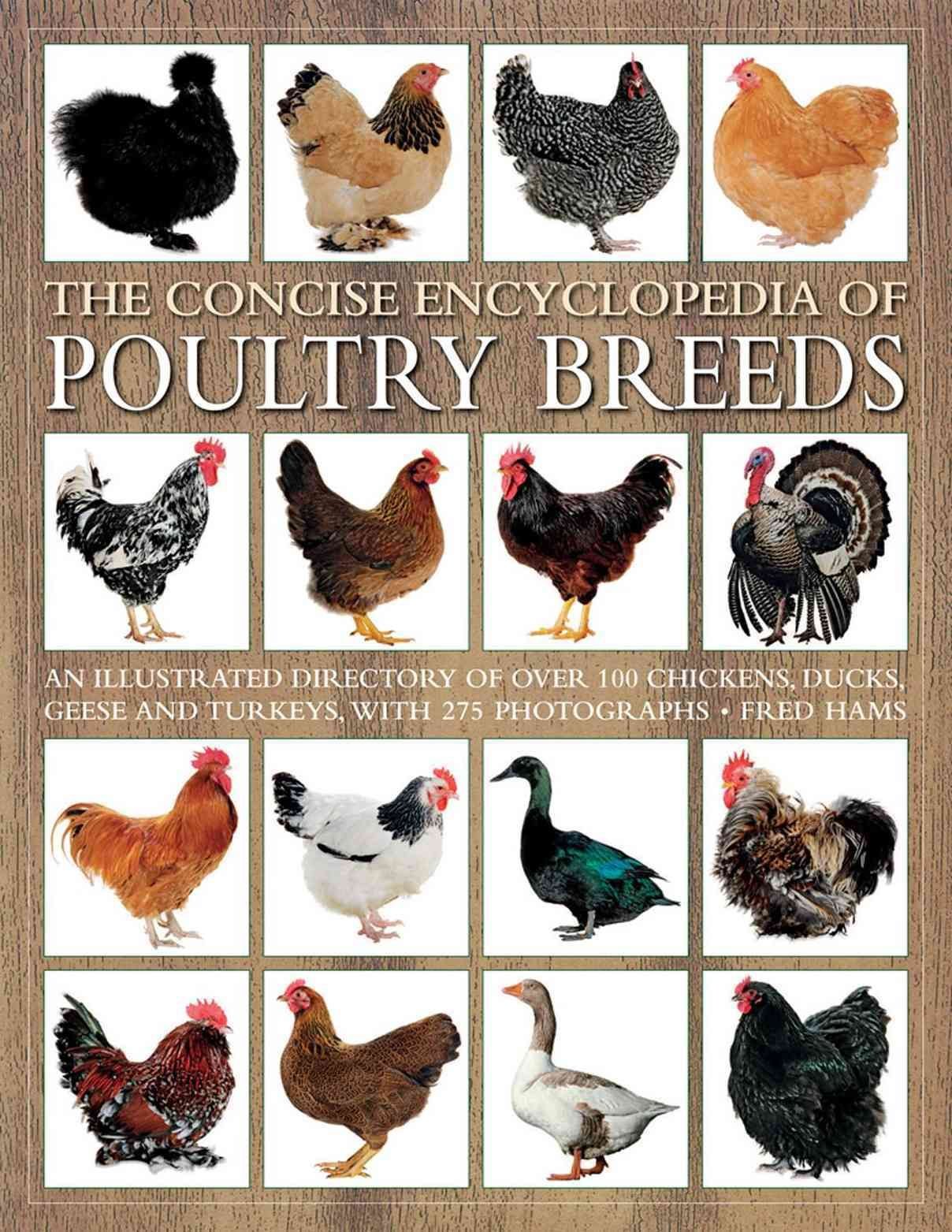 Buy Concise Encyclopedia Of Poultry Breeds By Fred Hams With Free ...