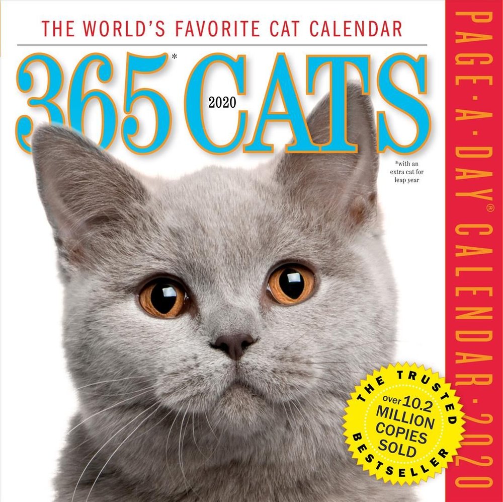 Buy 2020 365 Cats Colour Page-A-Day Calendar by Workman Calendars With