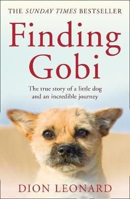 finding gobi picture book