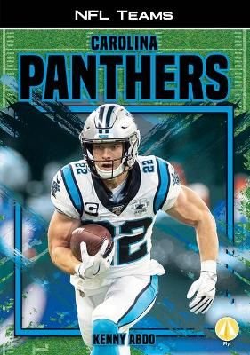 NFL Team Reviews: Carolina Panthers