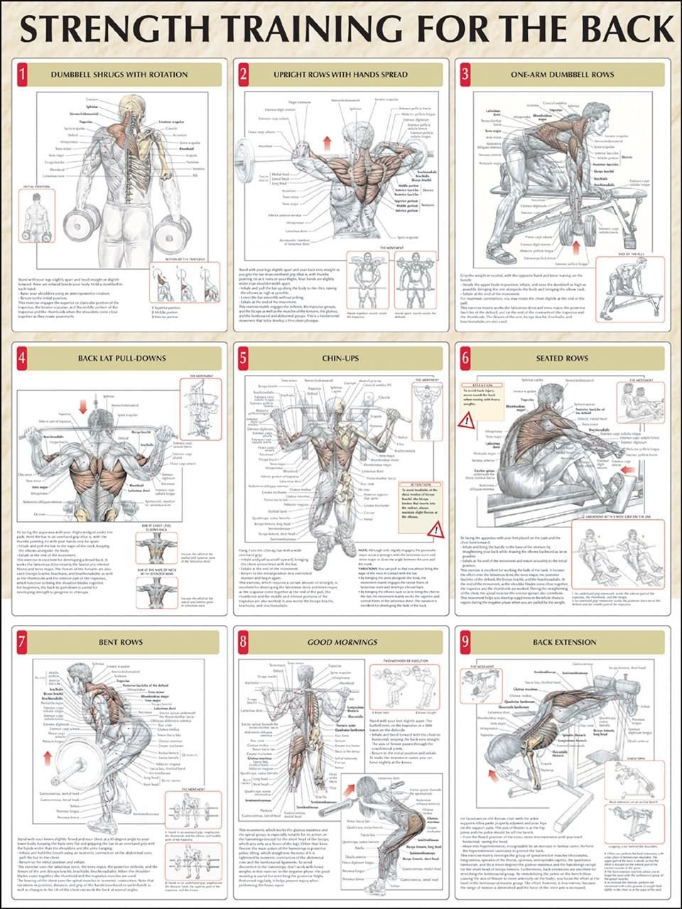 Delavier's Mixed Martial Arts Anatomy