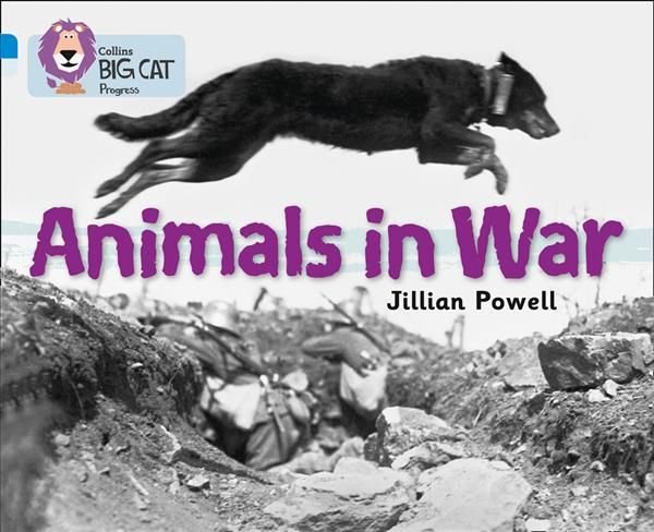 Buy Animals in War by Jillian Powell With Free Delivery 