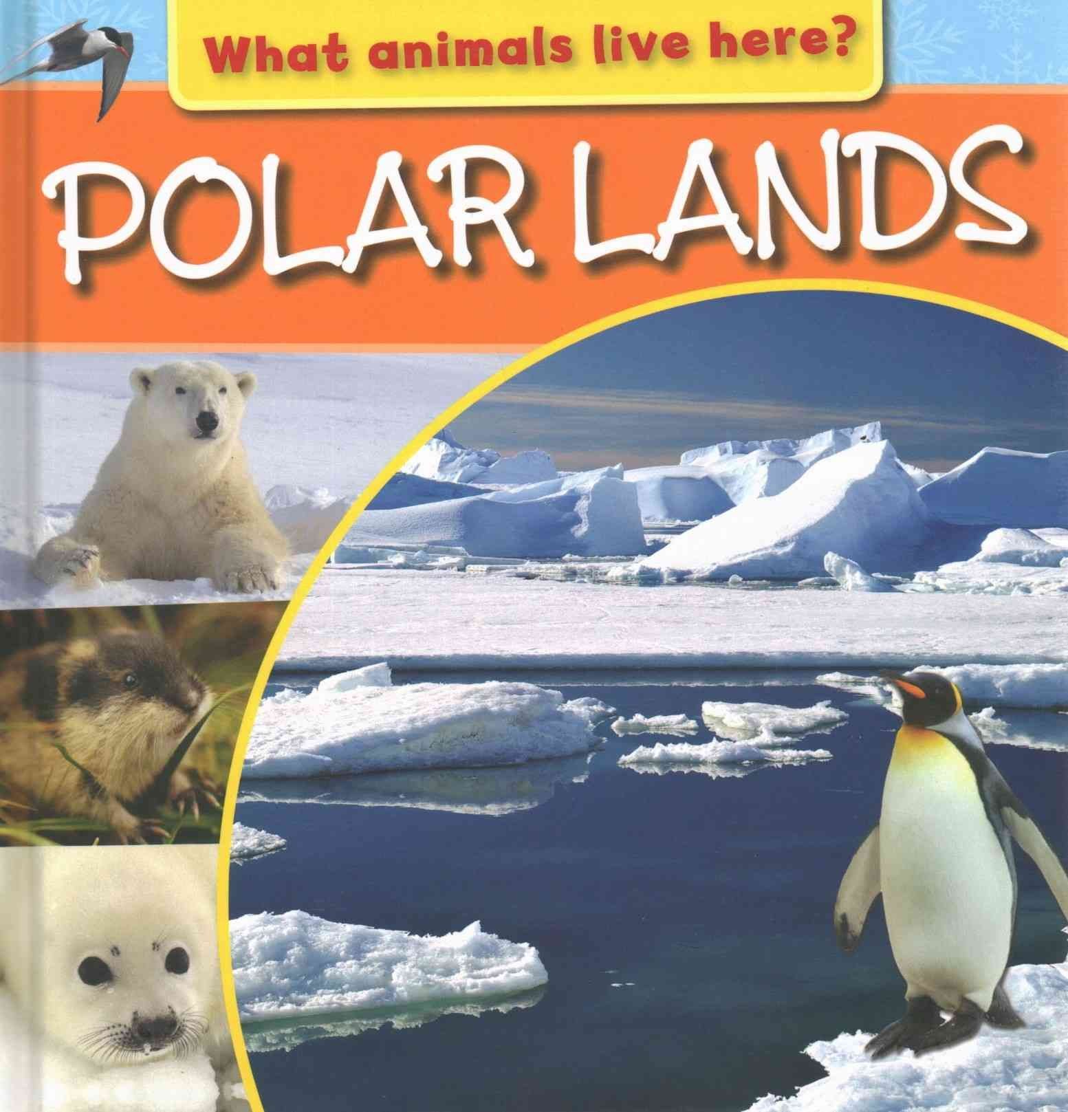 What Animals Live Here?: Polar Lands