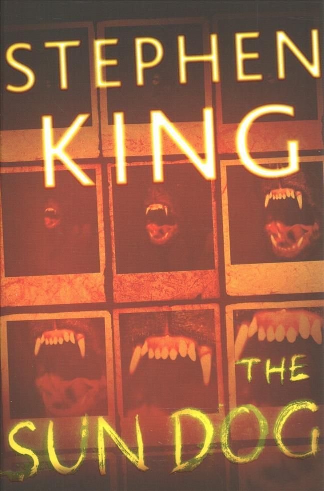 Stephen King Short Fiction: King, Stephen: 9781982187774: : Books