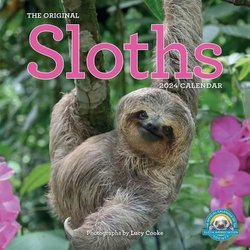 Original Sloths Wall Calendar 2024 by Lucy Cooke