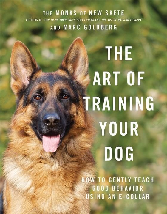 buy-the-art-of-training-your-dog-by-monks-of-new-skete-with-free-delivery-wordery