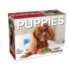 Puppies 2023 Mini Day-to-Day Calendar by Andrews McMeel Publishing