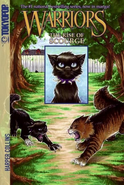 Into The Wild fan cover  Warrior cats comics, Warrior cats books, Warrior  cats art