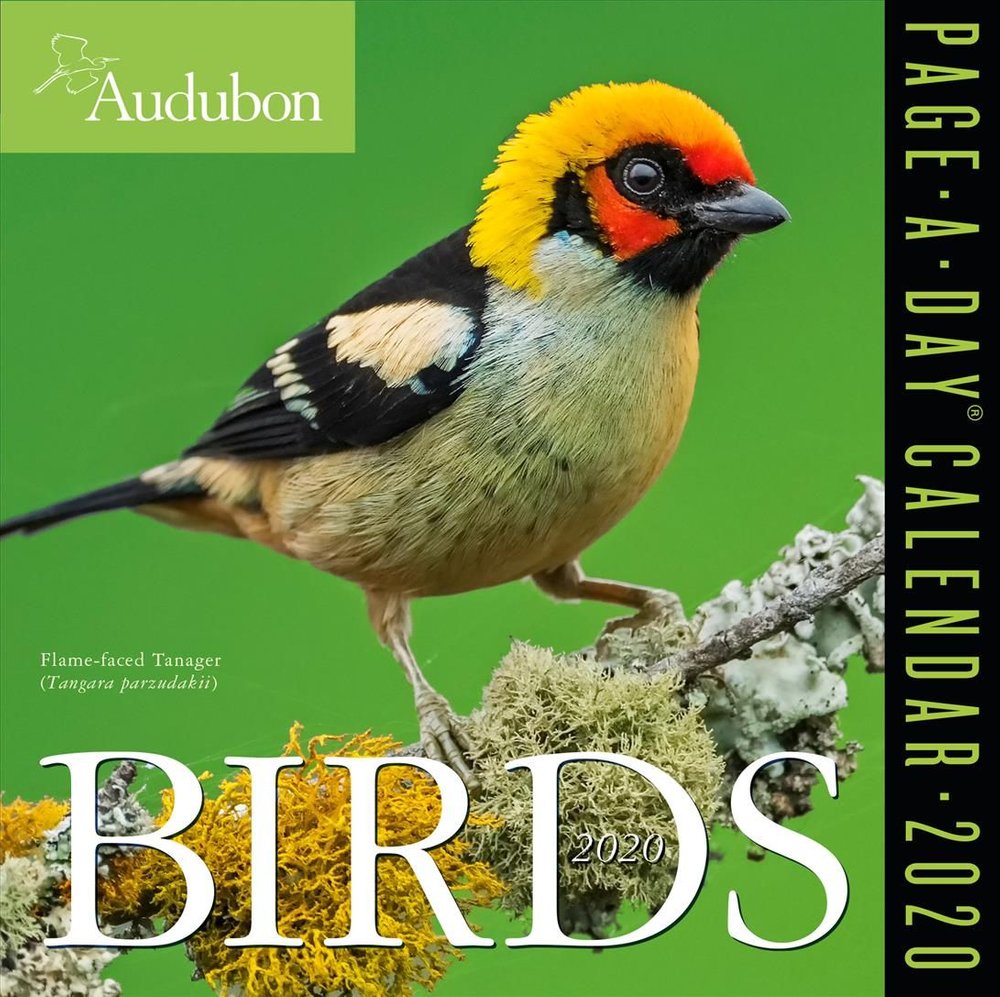 Buy 2020 Audubon Birds Colour PageADay Calendar by Workman Calendars